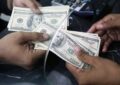 تشکیل پرونده قضایی برای اخلال گران ارز و نهاده های دامی تشکیل پرونده قضایی برای اخلال گران ارز و نهاده های دامی