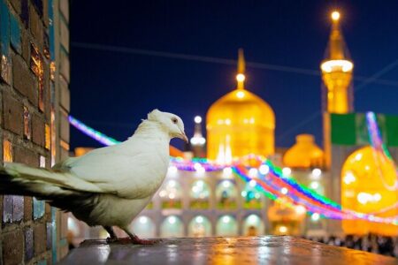 روایت شیخ حسین انصاریان از تواضع وصف ناشدنی حضرت امام رضا(ع) روایت شیخ حسین انصاریان از تواضع وصف ناشدنی حضرت امام رضا(ع)