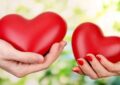 عشق پایدار؛ آغاز با هیجان، تداوم با تعهد عشق پایدار؛ آغاز با هیجان، تداوم با تعهد