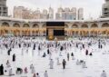 فوت ۱۲ نفر از زائران ایرانی در عمره/ سازمان حج و زیارت اعلام کرد فوت ۱۲ نفر از زائران ایرانی در عمره/ سازمان حج و زیارت اعلام کرد