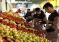 میادین میوه و ترهبار تهران فردا چهارشنبه ۱۰ دی ۱۴۰۴ تعطیل شد؟ میادین میوه و ترهبار تهران فردا چهارشنبه ۱۰ دی ۱۴۰۴ تعطیل شد؟