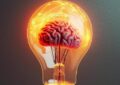 نوروساینس عاطفی (Affective Neuroscience) چیست ؟ نوروساینس عاطفی (Affective Neuroscience) چیست ؟