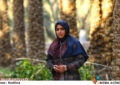 «مسجد جامع ابوذر» میزبان اکران مردمی «احمد» میشود «مسجد جامع ابوذر» میزبان اکران مردمی «احمد» میشود