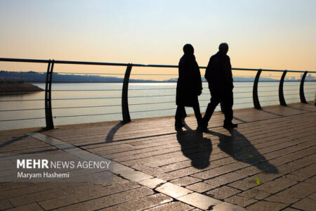 ماجرای حشرات ریز دریاچه شهدای خلیج فارس چیست؟ ماجرای حشرات ریز دریاچه شهدای خلیج فارس چیست؟