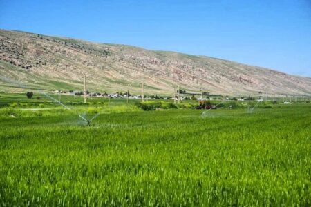 کریمی: ۱۸ هزار هکتار از اراضی سامانه گرمسیری به بهرهبرداری رسید کریمی: ۱۸ هزار هکتار از اراضی سامانه گرمسیری به بهرهبرداری رسید