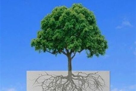اجازه ندادیم چوب و کاغذ مازندران به سرنوشت «هفتتپه» دچار شود اجازه ندادیم چوب و کاغذ مازندران به سرنوشت «هفتتپه» دچار شود