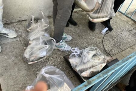 اجرای پویش «هر خانواده ایرانی، یک وعده ماهی» در لرستان اجرای پویش «هر خانواده ایرانی، یک وعده ماهی» در لرستان