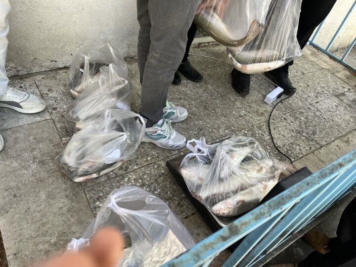 اجرای پویش «هر خانواده ایرانی، یک وعده ماهی» در لرستان اجرای پویش «هر خانواده ایرانی، یک وعده ماهی» در لرستان