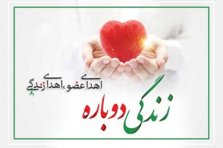 بیش از ۱۴۰۰ بیمار در شیراز با پیوند عضو به زندگی بازگشتند بیش از ۱۴۰۰ بیمار در شیراز با پیوند عضو به زندگی بازگشتند