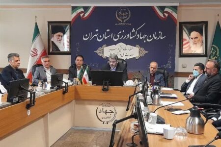 جهاد کشاورزی تهران: کمبودی در تأمین کالاهای اساسی وجود ندارد جهاد کشاورزی تهران: کمبودی در تأمین کالاهای اساسی وجود ندارد