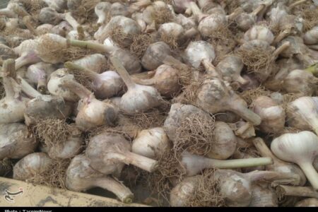 روستایی که با سیر نفس میکشد؛ «اَتو» و داستان یک برند موفق روستایی که با سیر نفس میکشد؛ «اَتو» و داستان یک برند موفق