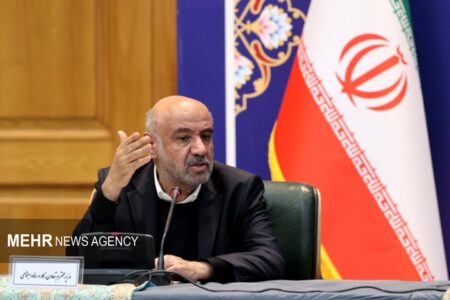 میدری: توسعه بازار مشاغل خانگی و تولید خانوادهمحور شتاب میگیرد میدری: توسعه بازار مشاغل خانگی و تولید خانوادهمحور شتاب میگیرد