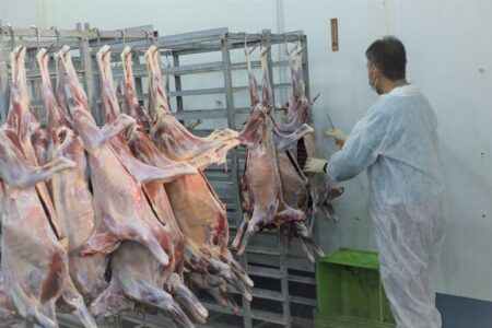۸۹ گروه دامپزشکی در اصفهان بر ذبح دام قربانی نظارت میکنند ۸۹ گروه دامپزشکی در اصفهان بر ذبح دام قربانی نظارت میکنند