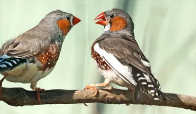 اخبار،اخبار جدید،اخبار روز اخبار،اخبار جدید،اخبار روز