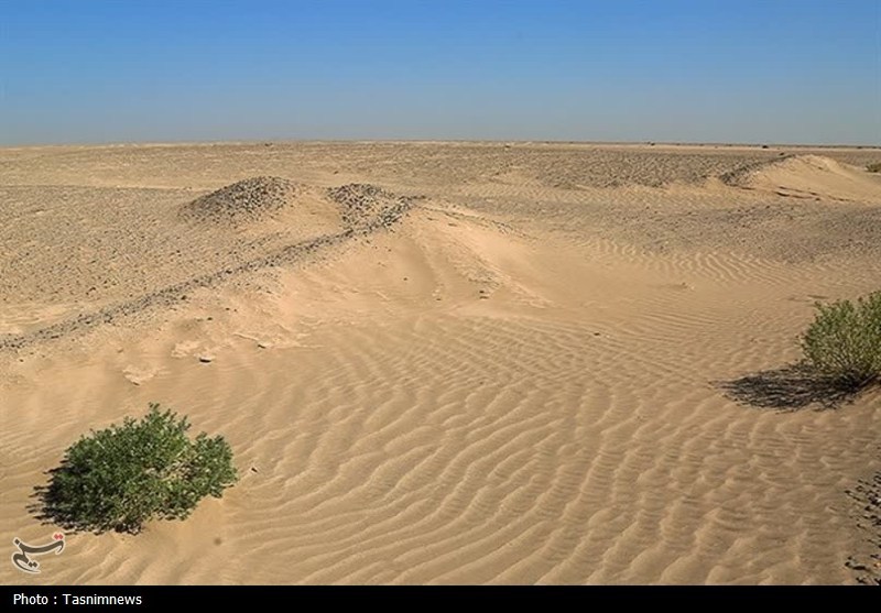 زنگ خطر پیشروی بیابان در سمنان؛ وقتی کویر منتظر بودجه نمیماند زنگ خطر پیشروی بیابان در سمنان؛ وقتی کویر منتظر بودجه نمیماند
