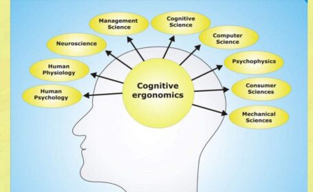 شناخت (Cognition) چیست ؟ شناخت (Cognition) چیست ؟