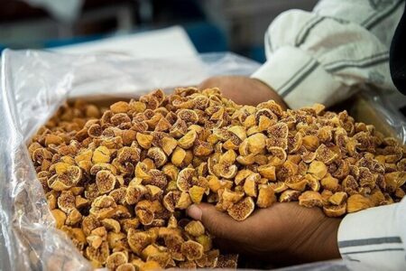 موقوفات چطور به حل مشکلات اقتصادی ورود کردهاند؟ موقوفات چطور به حل مشکلات اقتصادی ورود کردهاند؟
