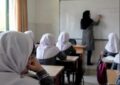 واکنش کاربران خبرآنلاین به ضعف آموزش؛ دانشآموزان امیدی به آینده ندارند مشکل فقط مدرسه نیست/ از روزی که منزلت معلم از بین رفت سراشیبی آموزش آغاز شد واکنش کاربران خبرآنلاین به ضعف آموزش؛ دانشآموزان امیدی به آینده ندارند مشکل فقط مدرسه نیست/ از روزی که منزلت معلم از بین رفت سراشیبی آموزش آغاز شد