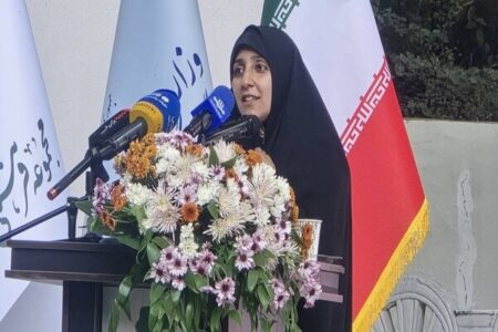 بهروزآذر: ۶۰ درصد تسهیلات تکلیفی اشتغال به زنان اختصاص یافت بهروزآذر: ۶۰ درصد تسهیلات تکلیفی اشتغال به زنان اختصاص یافت