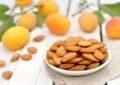 هسته زردآلو را نخورید!/ تلخی گیری به معنی بی خطر شدن هسته نیست! هسته زردآلو را نخورید!/ تلخی گیری به معنی بی خطر شدن هسته نیست!