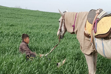 کوبیدن سیلی واقعیت برصورت رویا؛ سینمای مستند از مساله اکران رنج میبرد کوبیدن سیلی واقعیت برصورت رویا؛ سینمای مستند از مساله اکران رنج میبرد