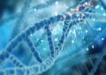 ساخت رایانهای مبتنی بر DNA؛ محاسبات بدون نیاز به برق مداوم ساخت رایانهای مبتنی بر DNA؛ محاسبات بدون نیاز به برق مداوم