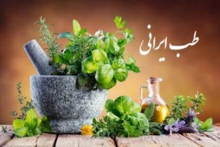 تدوین سند حکمرانی ملی طب ایرانی در آستانه نگارش تدوین سند حکمرانی ملی طب ایرانی در آستانه نگارش